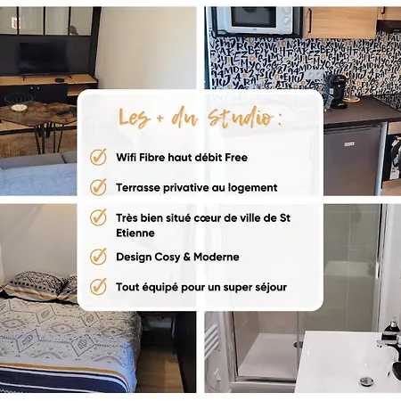 Cosy Saint-etienne Centre Apartment Saint-Etienne (Loire)
